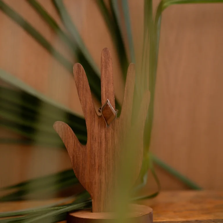 Anello Fragmento
